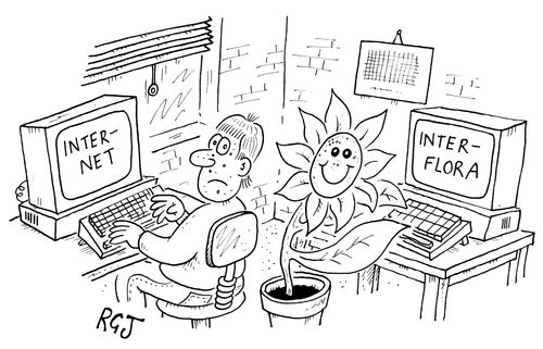 Internet, Interflora