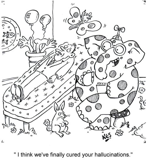'I think we've finally cured your hallucinations.'