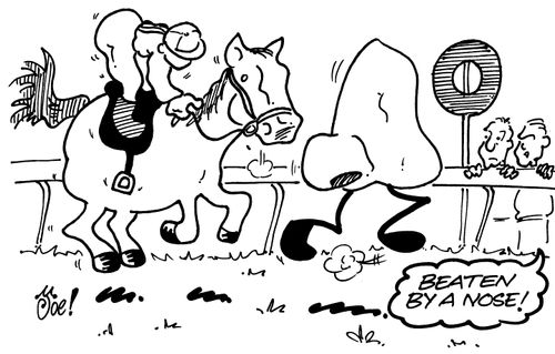 'Beaten by a nose!'