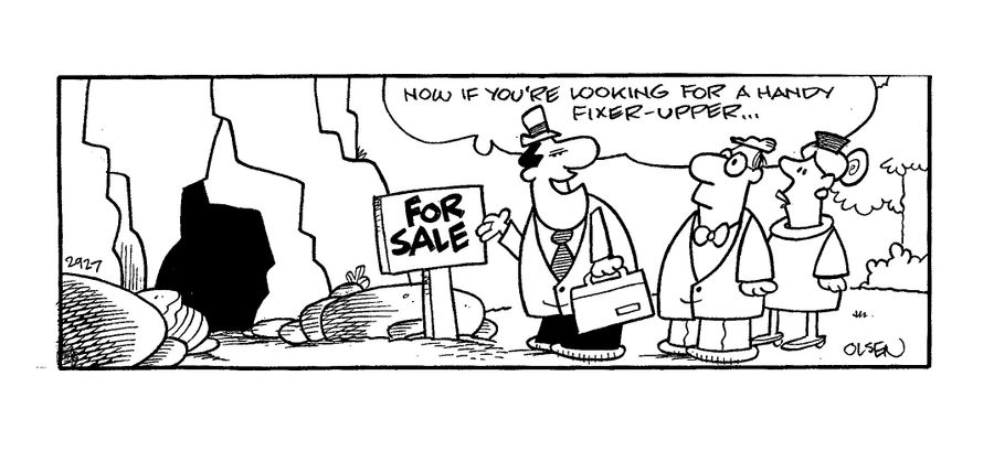 'Now if you're looking for a handy fixer-upper...'