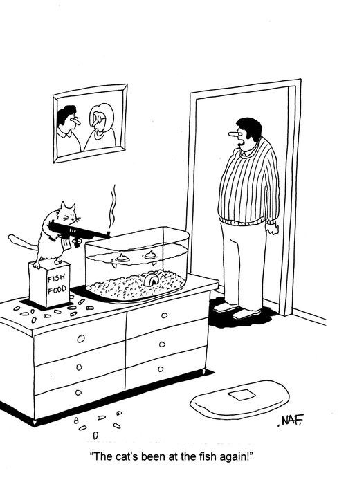 'The cat's been at the fish again!'