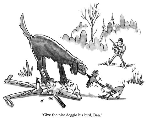 'Give the nice doggie his bird, Ben.'