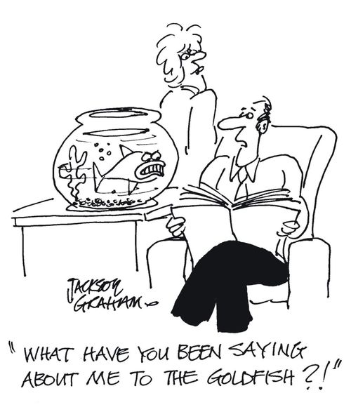 "What have you been saying about me to the goldfish?!