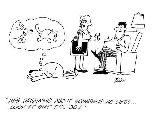 'He's dreaming about something he likes...look at that tail go!'