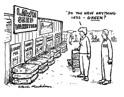 "Do you have anything less - green?"