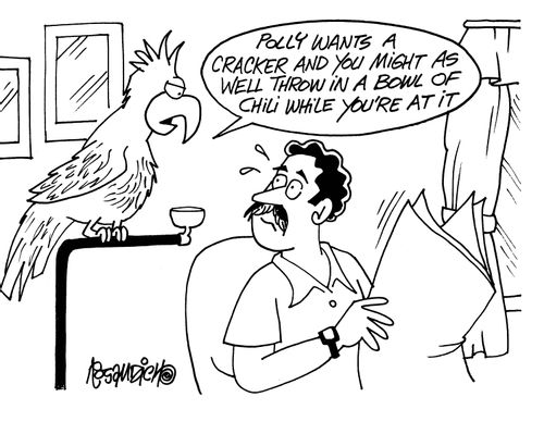 'Polly wants a cracker and you might as well throw in a bowl of chili while you're at it.'