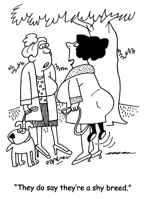 'They do say they're a shy breed.'