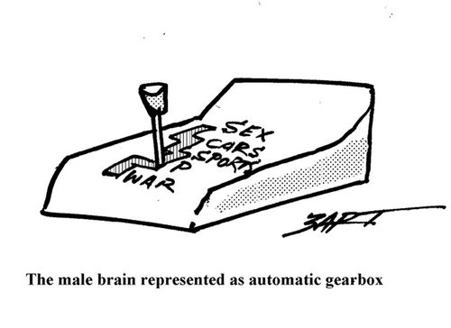 Male Brain.
