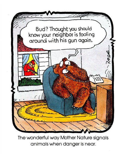The wonderful way Mother Nature signals animals when danger is near.