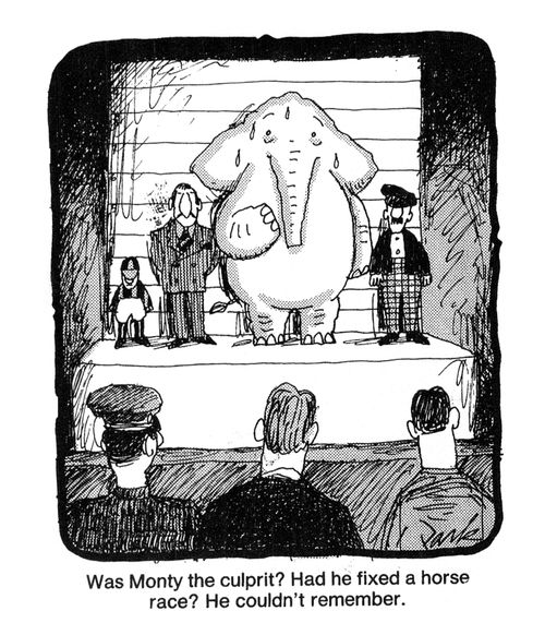 'Was Monty the culprit? Had he fixed a horse race? He couldn't remember.'