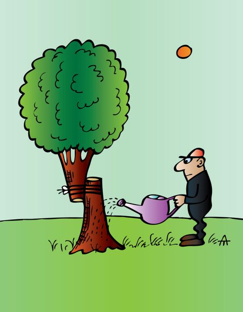 Repairing the Environment