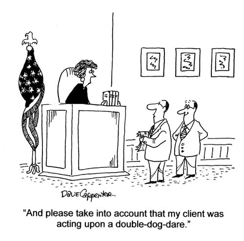 'And please take into account that my client was acting upon a double-dog-dare.'