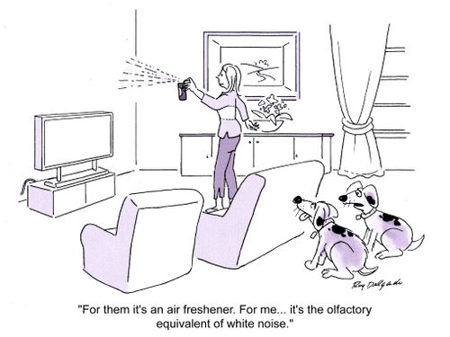 'For them it's an air freshener. For me... it's the olfactory equivalent of white noise.'