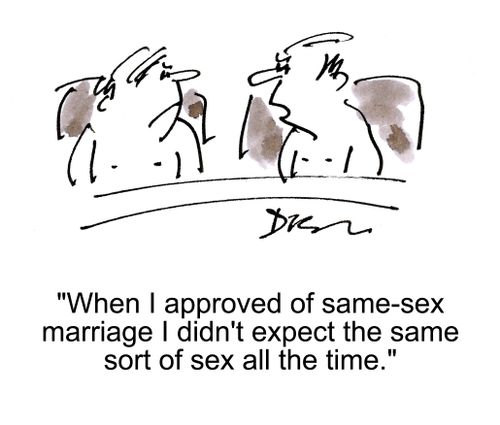 'When I approved of same-sex marriage, I didn't expect the same sort of sex all the time.'