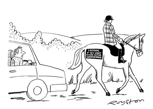 Horse has bumper sticker which reads: 'HONK if you want a kick in the windscreen.'