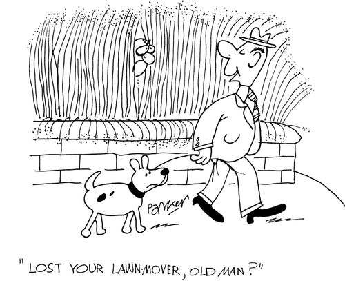'Lost your lawnmower, old man?'