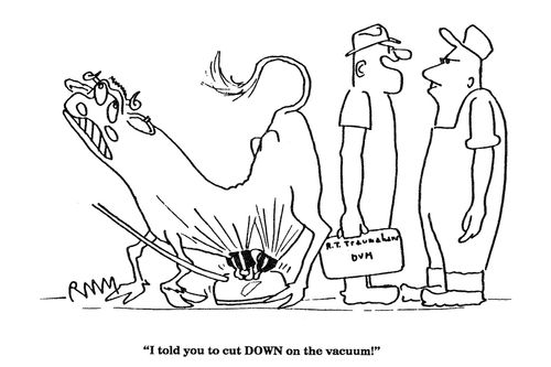 'I told you to cut DOWN on the vaccuum!'