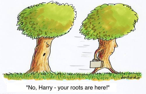 'No, Harry - your roots are here!'