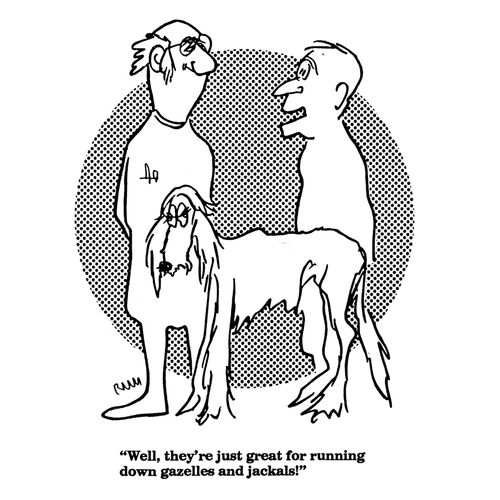 'Well, they're just great for running down gazelles and jackals!'