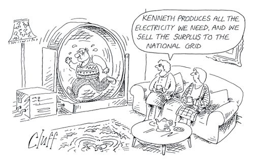 'Kenneth produces all the electricity we need, and we sell the surplus to the national grid.'