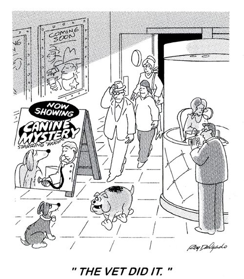 'The vet did it.'