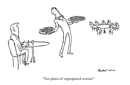'Two plates of regurgitated worms?'