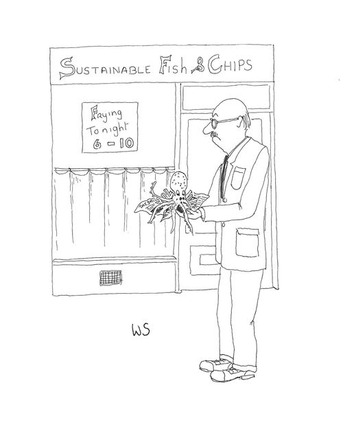 Sustainable Fish and Chips.