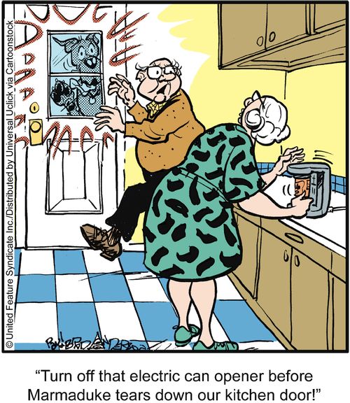 'Turn off that electric can opener before Marmaduke tears down our kitchen door!'