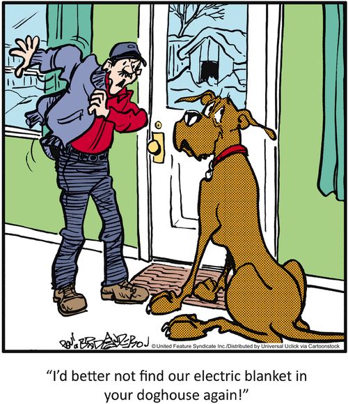 'I'd better not find out electric blanket in your doghouse again.'