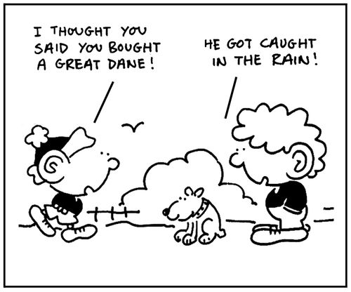 'I thought you said you bought a great dane.'