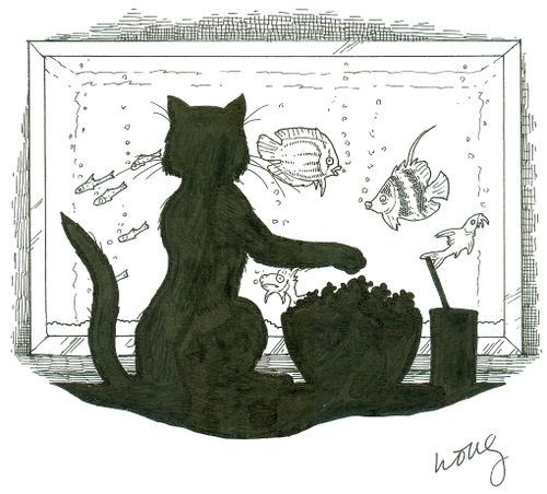 Cat TV