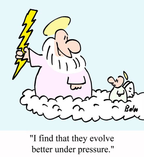 'I find that they evolve better under pressure.'
