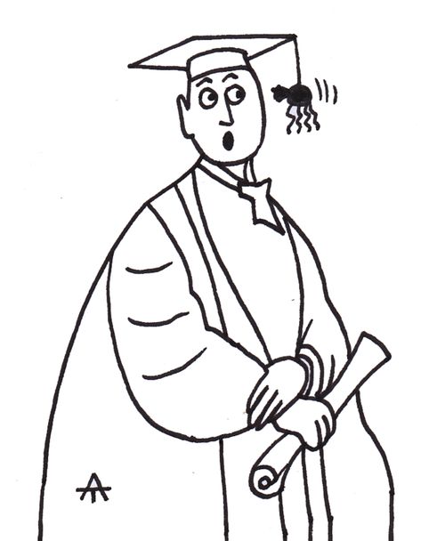 Spider on the graduate hat.