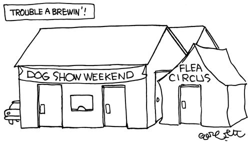 Trouble a brewin': Dog show next to a flea circus.