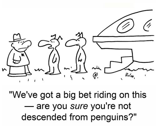 'We've got a big bet riding on this -- are you sure you're not descended from penguins?'