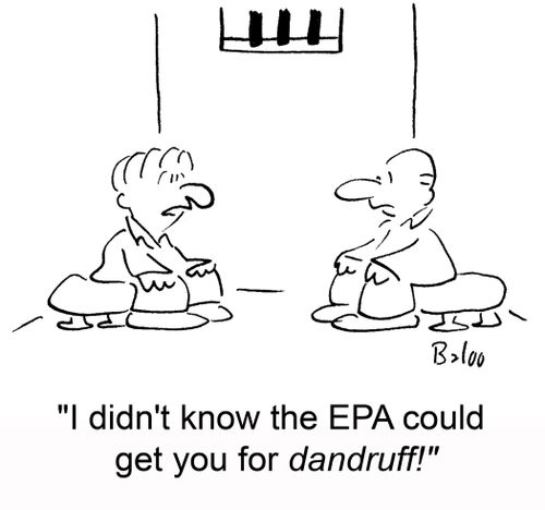 'I didn't know the EPA could get you for dandruff!'