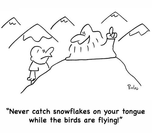 'Never catch snowflakes on your tongue while the birds are flying!'