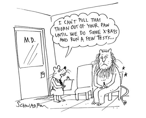'I can't pull that thorn out of your paw until we do some X-rays and run a few tests...'