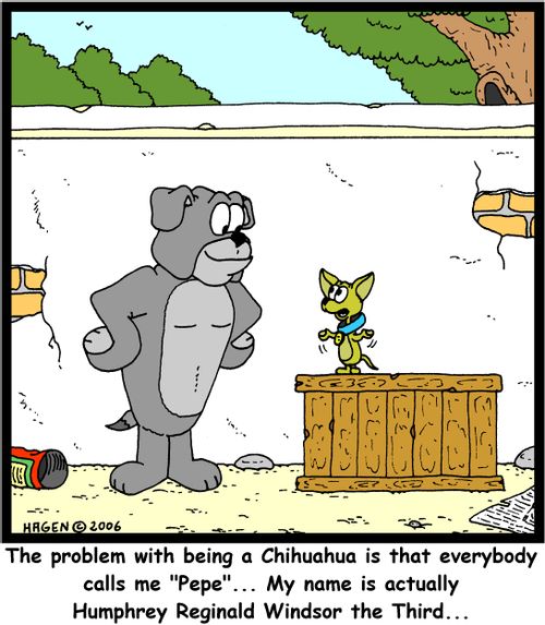 'The problem with being a Chihuahua is that everybody calls me 'Pepe'... My name is actually Humphrey Reginald Windsor the Third...'
