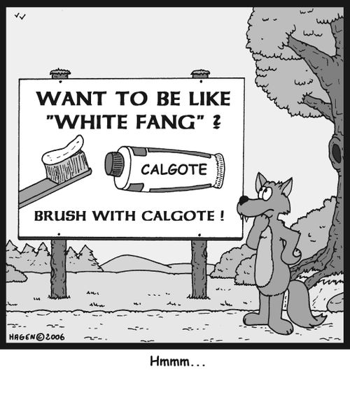 'Brush with Calgote' Hmmm...
