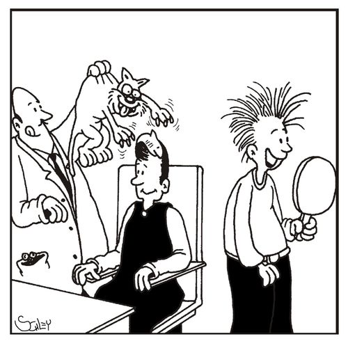 At the barber's shop.