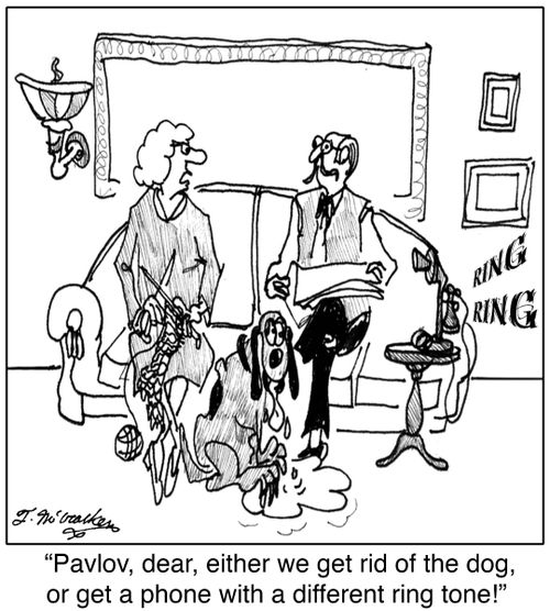 'Pavlov, dear, either we get rid of the dog, or get a phone with a different ring tone!'