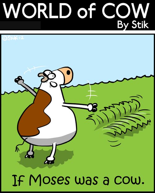 If Moses was a cow.