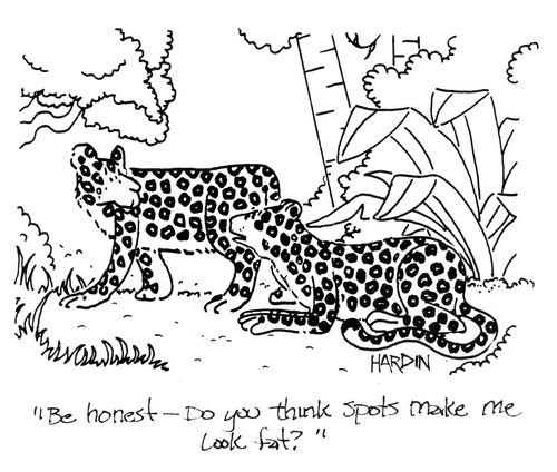 'Be honest - do you think spots make me look fat?'