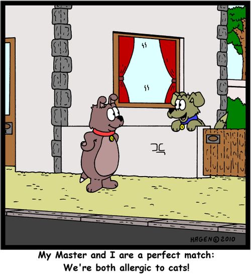 'My Master and I are a perfect match: We're both allergic to cats!'