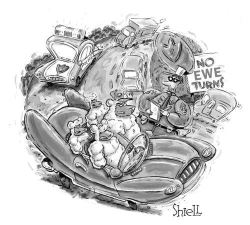 'NO EWE TURNS' (BW)