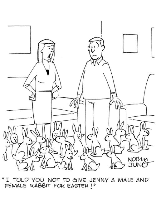 'I told you not to give Jenny a male and female rabbit for Easter!'