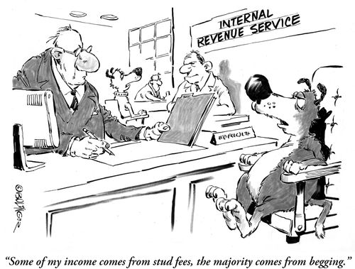 'Some of my income comes from stud fees, the majority comes from begging.'