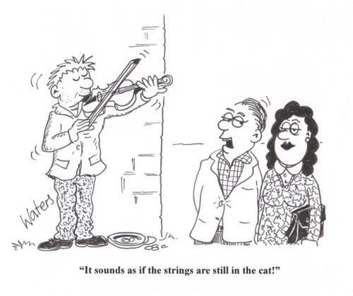 'It sounds as if the strings are still in the cat!'