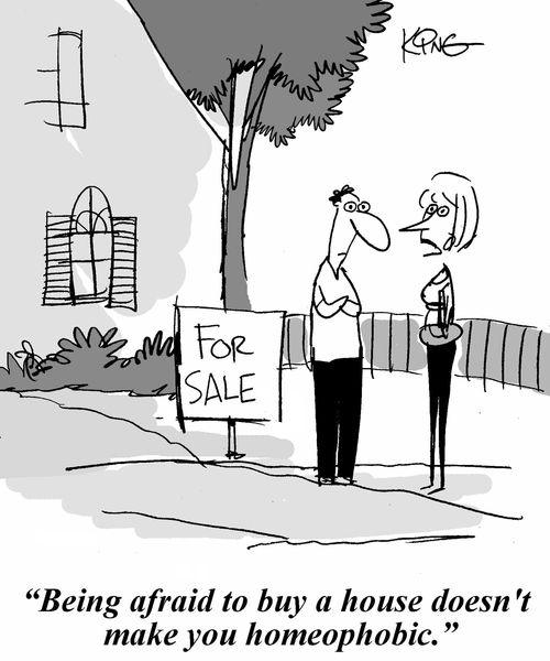 'Being afraid to buy a house doesn't make you homeophobic.'